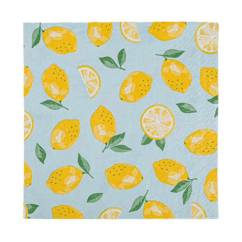 33x33 Volldruck 2-lag-Papier-Servietten Paper Friut Muster SJ5101